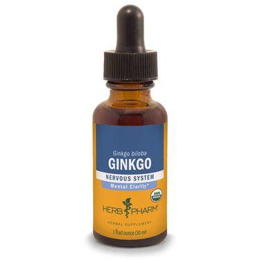 Ginkgo - My Village Green